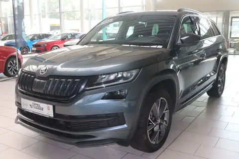 Used SKODA KODIAQ Diesel 2019 Ad 