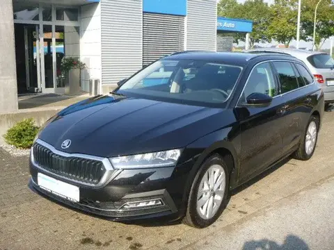 Used SKODA OCTAVIA Petrol 2024 Ad 