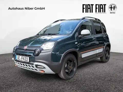 Used FIAT PANDA Petrol 2024 Ad 