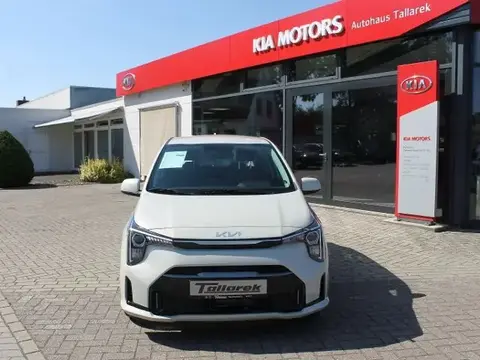 Annonce KIA PICANTO Essence 2024 d'occasion 