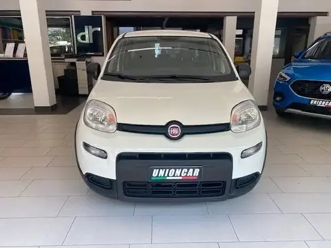 Annonce FIAT PANDA Hybride 2024 d'occasion 