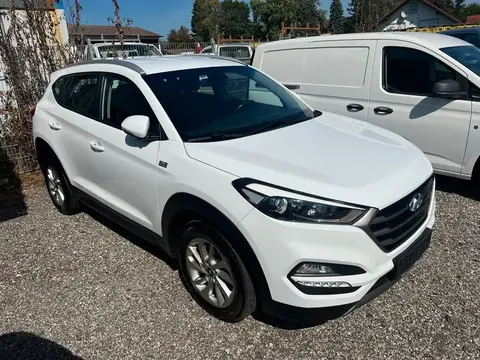 Annonce HYUNDAI TUCSON Diesel 2017 d'occasion 