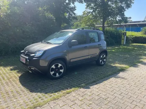 Used FIAT PANDA Petrol 2018 Ad 