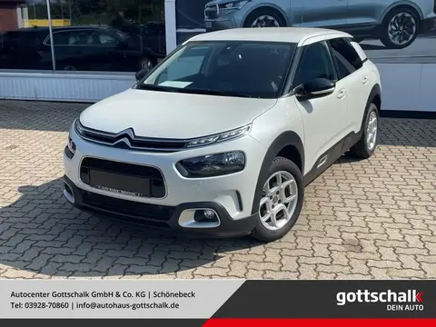 Used CITROEN C4 Petrol 2019 Ad 