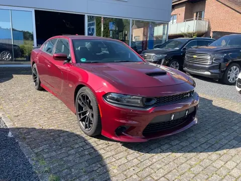 Annonce DODGE CHARGER Essence 2020 d'occasion 