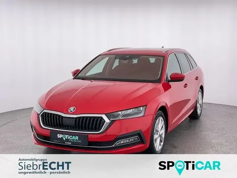 Annonce SKODA OCTAVIA Essence 2020 d'occasion 