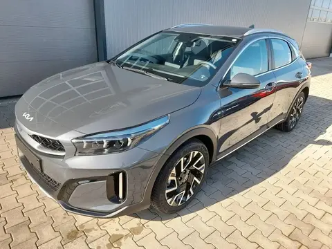 Used KIA XCEED Petrol 2024 Ad 