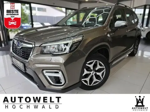 Used SUBARU FORESTER Hybrid 2020 Ad 