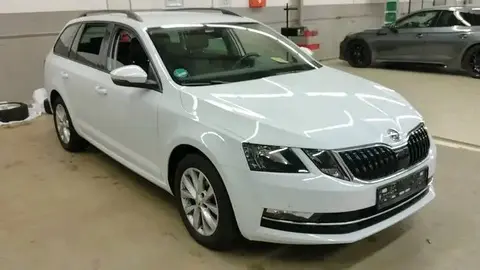 Annonce SKODA OCTAVIA Diesel 2019 d'occasion 