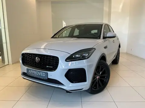 Used JAGUAR E-PACE Hybrid 2021 Ad 