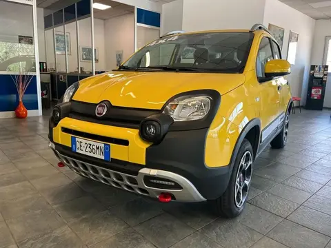 Used FIAT PANDA Petrol 2021 Ad 