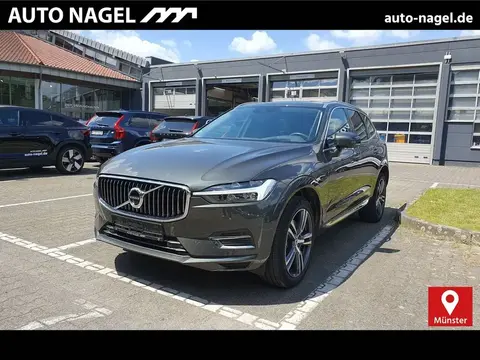 Annonce VOLVO XC60 Hybride 2021 d'occasion 