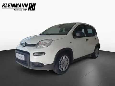 Used FIAT PANDA Hybrid 2024 Ad 