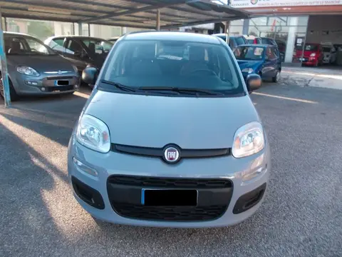 Annonce FIAT PANDA Hybride 2020 d'occasion 