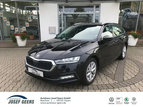 Used SKODA OCTAVIA Diesel 2023 Ad 