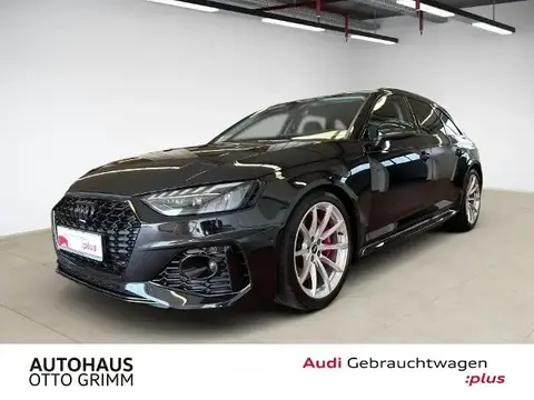 Used AUDI RS4 Petrol 2021 Ad 