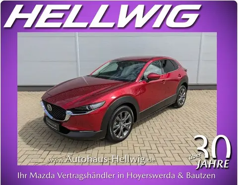 Used MAZDA CX-30 Petrol 2021 Ad 