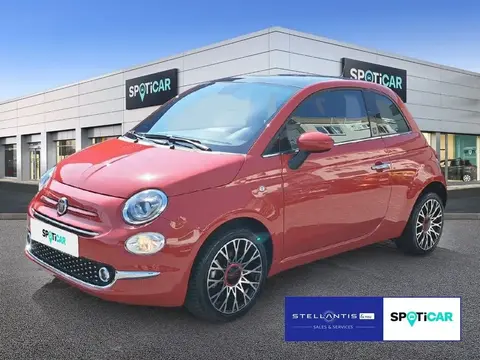 Used FIAT 500 Petrol 2023 Ad 