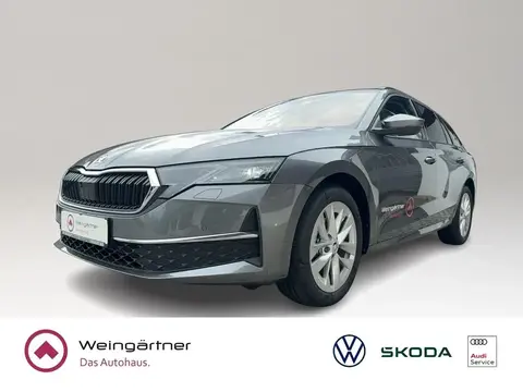 Used SKODA OCTAVIA Diesel 2024 Ad 