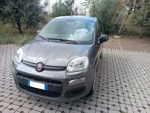 Used FIAT PANDA Hybrid 2022 Ad 