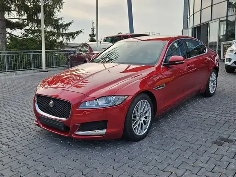 Annonce JAGUAR XF Diesel 2016 d'occasion 