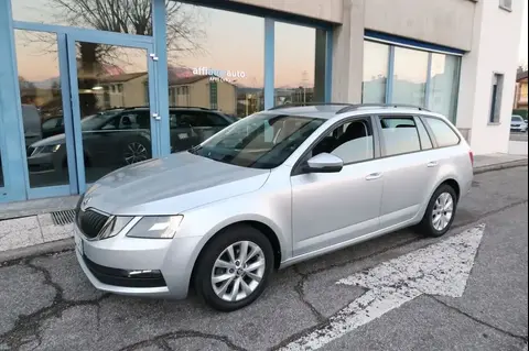 Annonce SKODA OCTAVIA Diesel 2019 d'occasion 