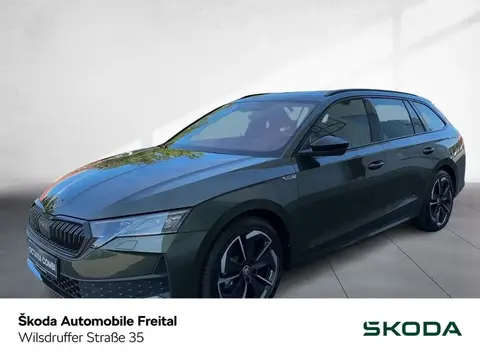 Annonce SKODA OCTAVIA Essence 2024 d'occasion 