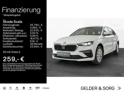 Annonce SKODA SCALA Essence 2024 d'occasion 