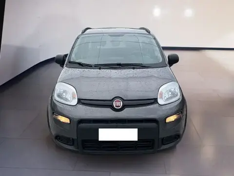 Annonce FIAT PANDA Hybride 2021 d'occasion 