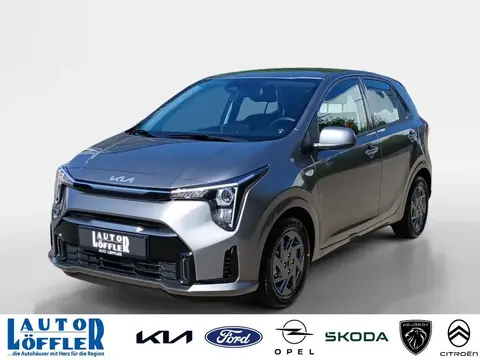 Annonce KIA PICANTO Essence 2024 d'occasion 