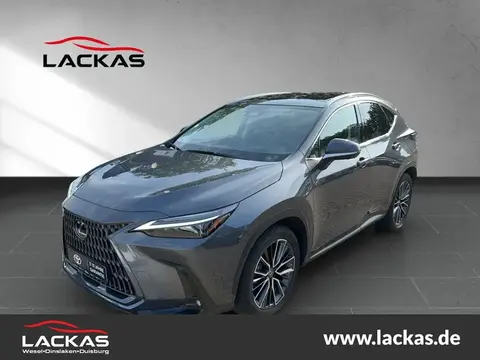 Used LEXUS NX Hybrid 2022 Ad 