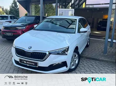 Annonce SKODA SCALA Essence 2021 d'occasion 