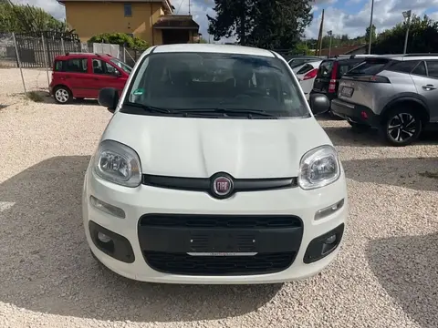 Used FIAT PANDA Petrol 2016 Ad 