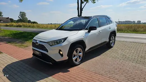 Used TOYOTA RAV4 Hybrid 2020 Ad 