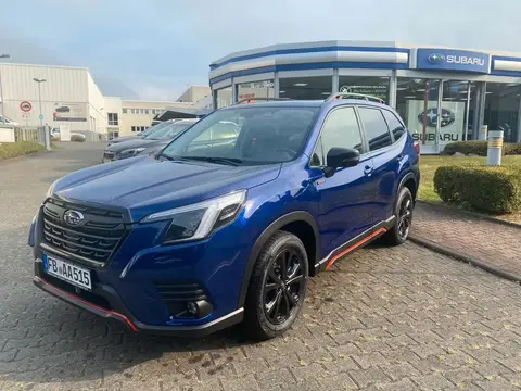 Annonce SUBARU FORESTER Hybride 2024 d'occasion 