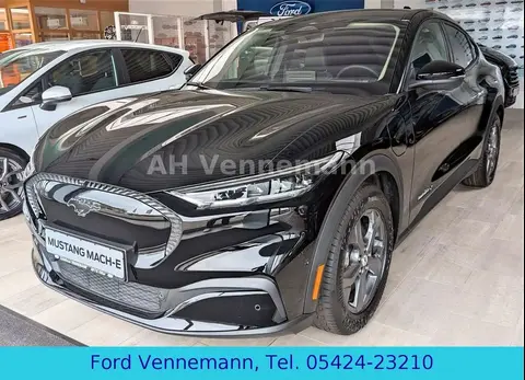 Used FORD MUSTANG Not specified 2022 Ad 