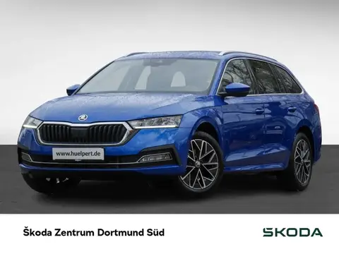 Annonce SKODA OCTAVIA Diesel 2024 d'occasion 