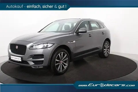 Used JAGUAR F-PACE Petrol 2019 Ad 