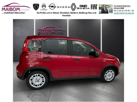 Used FIAT PANDA Petrol 2024 Ad 