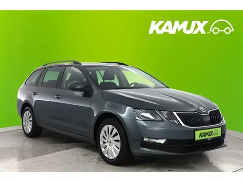 Annonce SKODA OCTAVIA Diesel 2019 d'occasion 