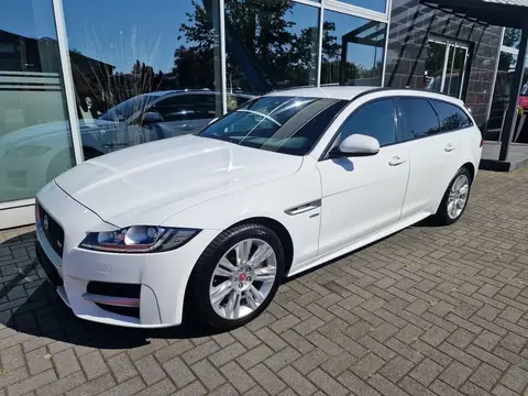 Annonce JAGUAR XF Diesel 2017 d'occasion 