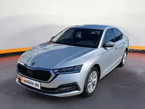 Annonce SKODA OCTAVIA Essence 2021 d'occasion 