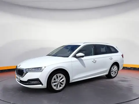 Annonce SKODA OCTAVIA Essence 2023 d'occasion 