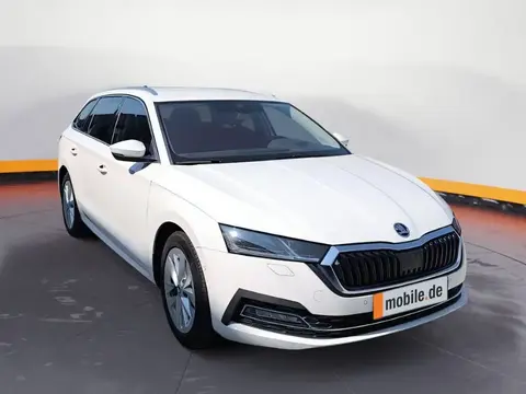 Annonce SKODA OCTAVIA Diesel 2021 d'occasion 