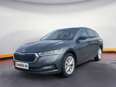 Annonce SKODA OCTAVIA Essence 2021 d'occasion 