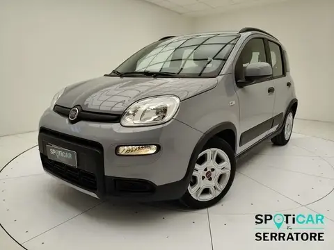 Used FIAT PANDA Hybrid 2022 Ad 