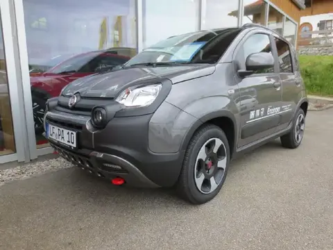 Annonce FIAT PANDA Essence 2024 d'occasion 