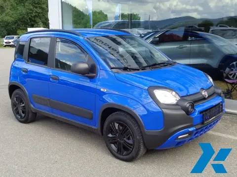 Annonce FIAT PANDA Essence 2021 d'occasion 