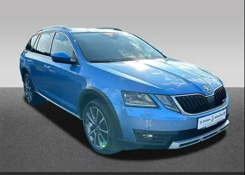 Annonce SKODA OCTAVIA Diesel 2019 d'occasion 