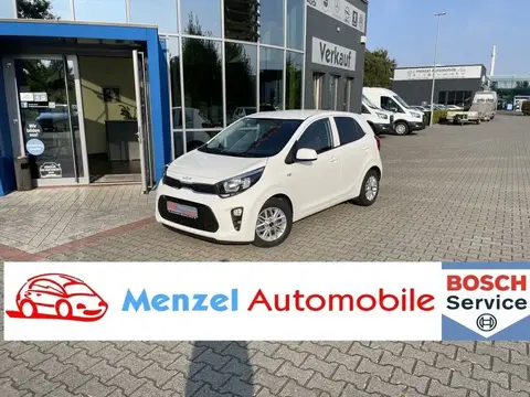 Used KIA PICANTO Petrol 2023 Ad 